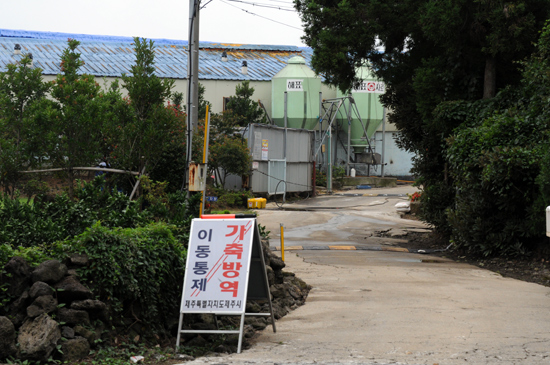 돼지열병 발생 농장 출입구에 세워진 '이동통제 가축방역'이라는 간판이 무색해 보인다. 간판 위에는 신호봉이 놓여 있고, 농장 정문에는 쇠사슬 하나만 달랑 걸쳐 있다.