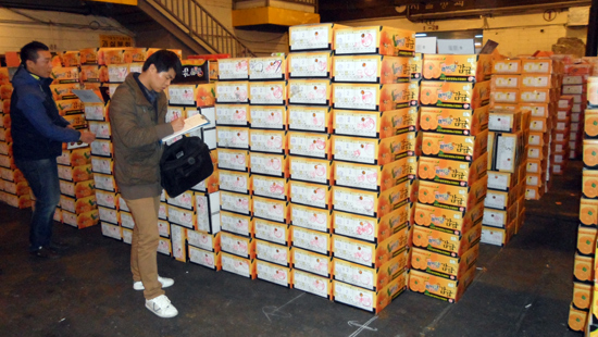 제주도자치경찰단이 도외 도매시장에서 비상품감귤 유통행위에 대한 집중단속을 벌이는장면이다.