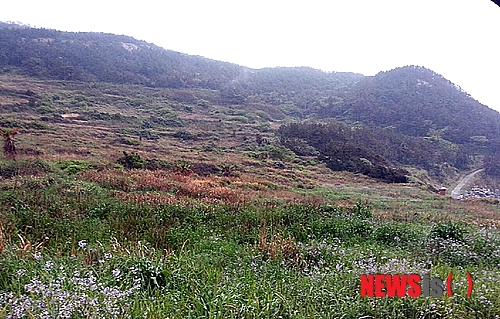 청초밭영농조합법인이 소유하고 있는 추자도 토지. 농지 대신 잡초만 무성하다. <사진출처/Joins=뉴시스>