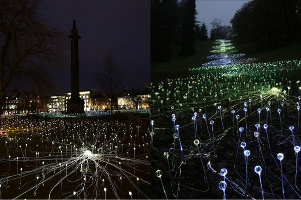 'Field of Light' Munro가 1992년 중앙 호주에 위치한 울루루(Uluru) 지역을 여행할 때자연과 새싹, 새벽의 빛을 보며 스케치했던 그림을 설치미술로 표현한 작품.