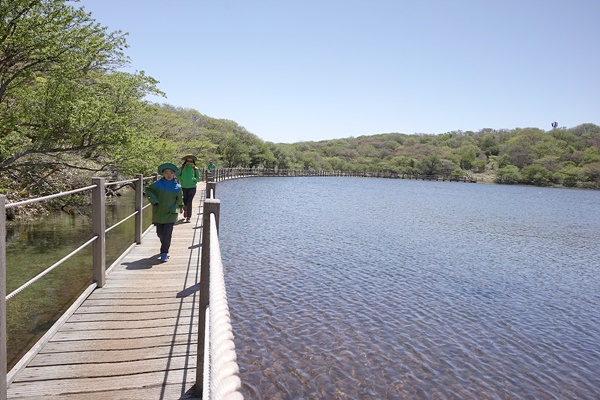 만수로 장관을 연출하고 있는 사라오름 산정호수. <한라산국립공원관리사무소 제공>