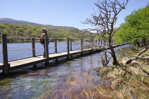 만수로 장관을 연출하고 있는 사라오름 산정호수. <한라산국립공원관리사무소 제공>